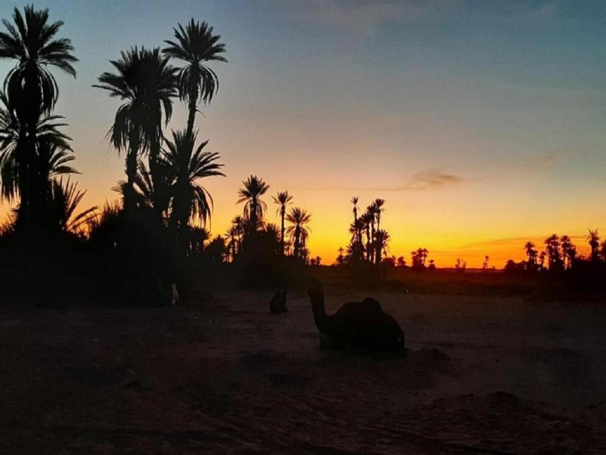 M'Hamid Desert Camp Tours Luaran gambar